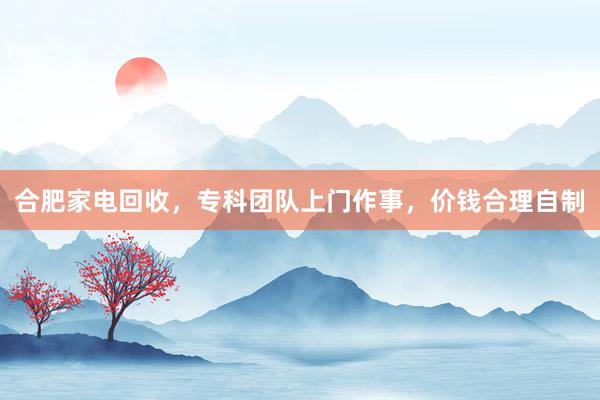 合肥家电回收，专科团队上门作事，价钱合理自制